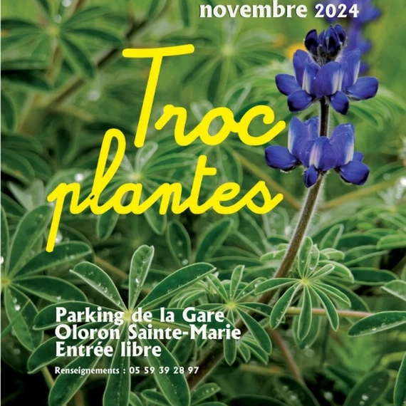 Troc plantes - OLORON-SAINTE-MARIE